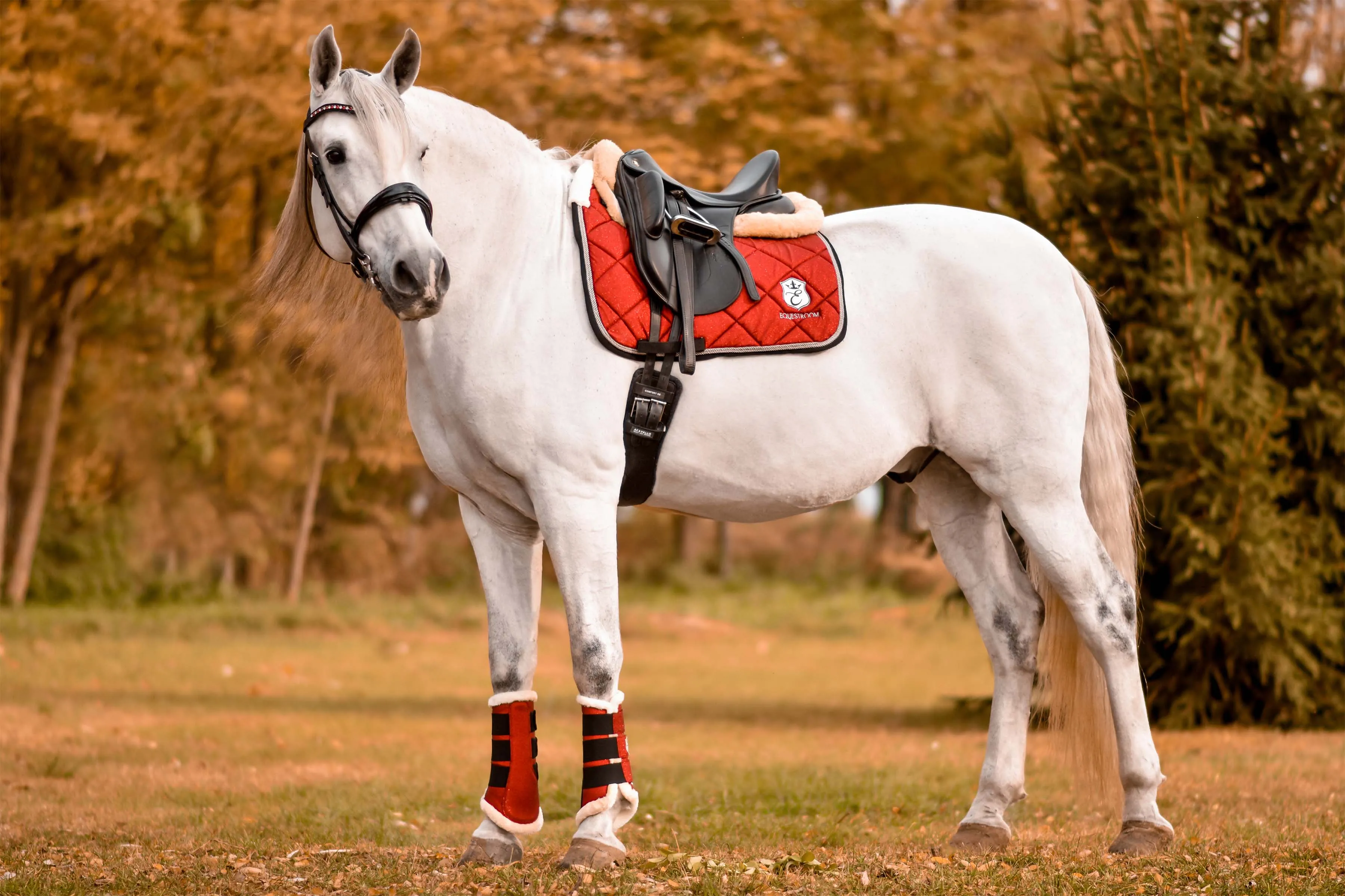 Scarlet Red Brushing Boots