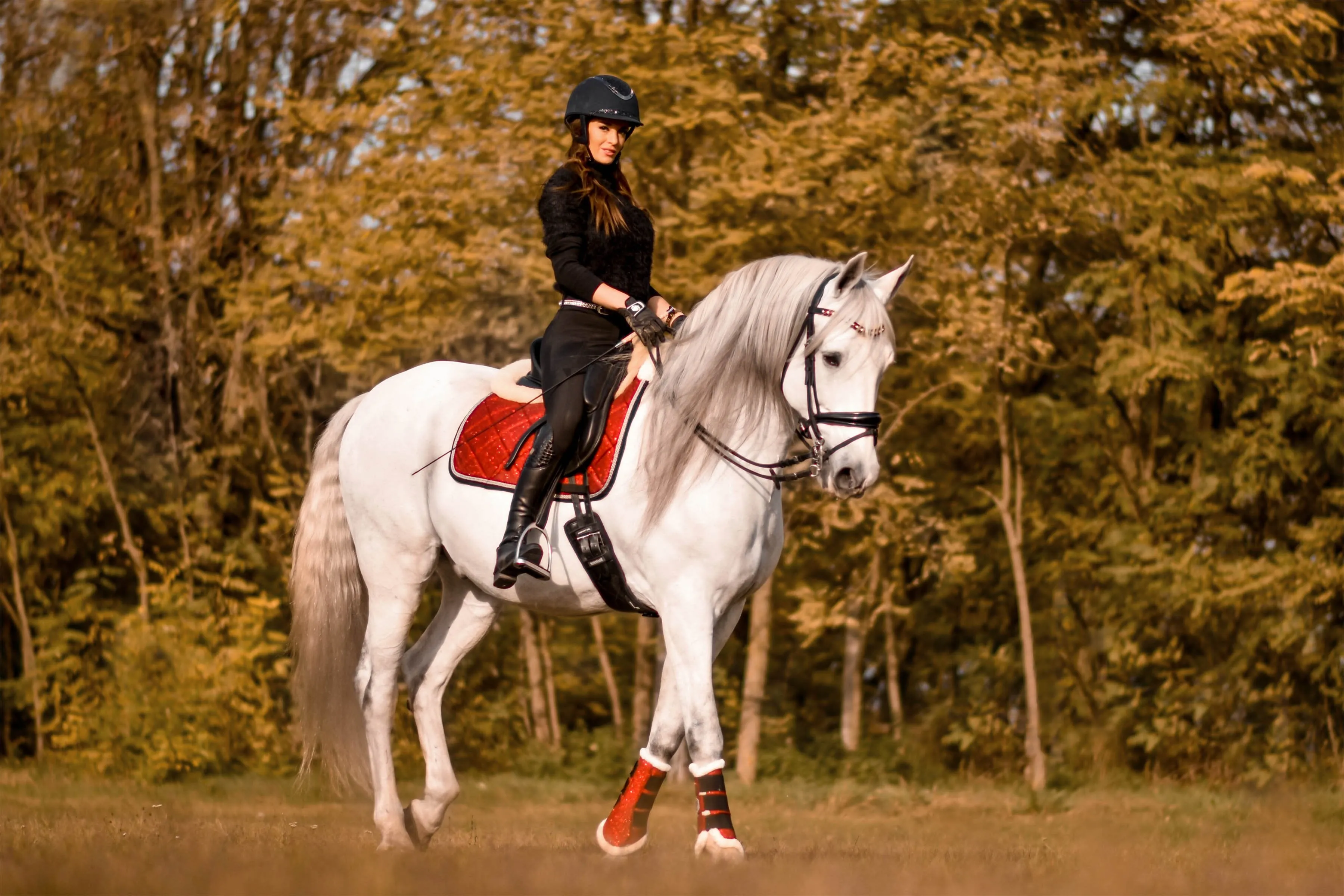 Scarlet Red Brushing Boots